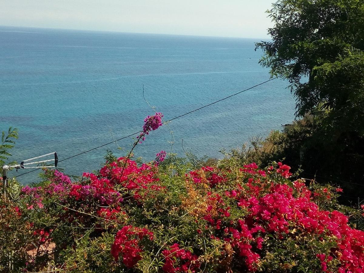Casolare Al Porto Hotell Tropea Exteriör bild